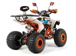 Štvorkolka Apollo Avenger 125cc 3GR 8“ pneu oranžová