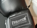 Boxovacie rukavice EVOLUTION 12