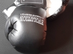 Boxovacie rukavice EVOLUTION 12