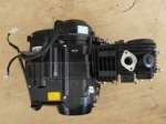 motor pitbike YX 125cc - 3 ESTART