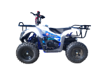 Štvorkolka SYXMOTO M01 50cc 4T automat 6"