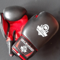 Boxovacie rukavice BUSHIDO DBX