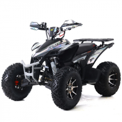 Štvorkolka ASIX AVATAR 250cc manuál
