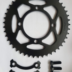 Rozeta 428 45zubov pre Pitibike 125/140/190/250cc