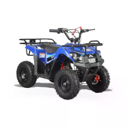 Štvorkolka Sying M01 50cc 4T automat 6"