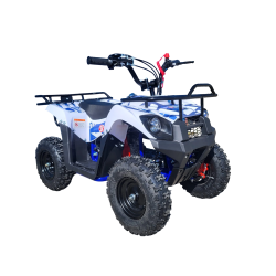 Štvorkolka SYXMOTO M01 50cc 4T automat 6"