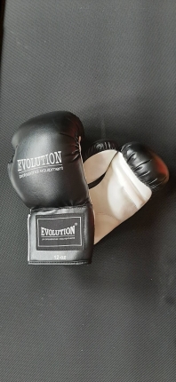 Boxovacie rukavice EVOLUTION 12