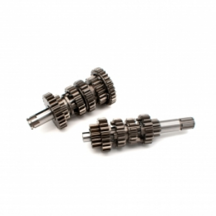 PREVODOVKA NB 300ccm PRE ASIX XR99 vodník