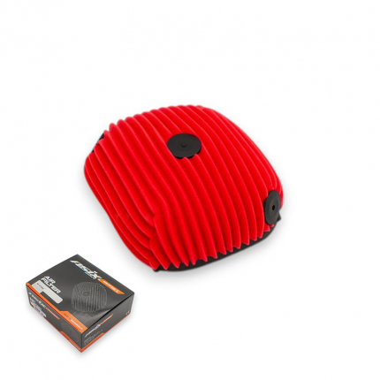 Vzduchový filter XR99 300cc